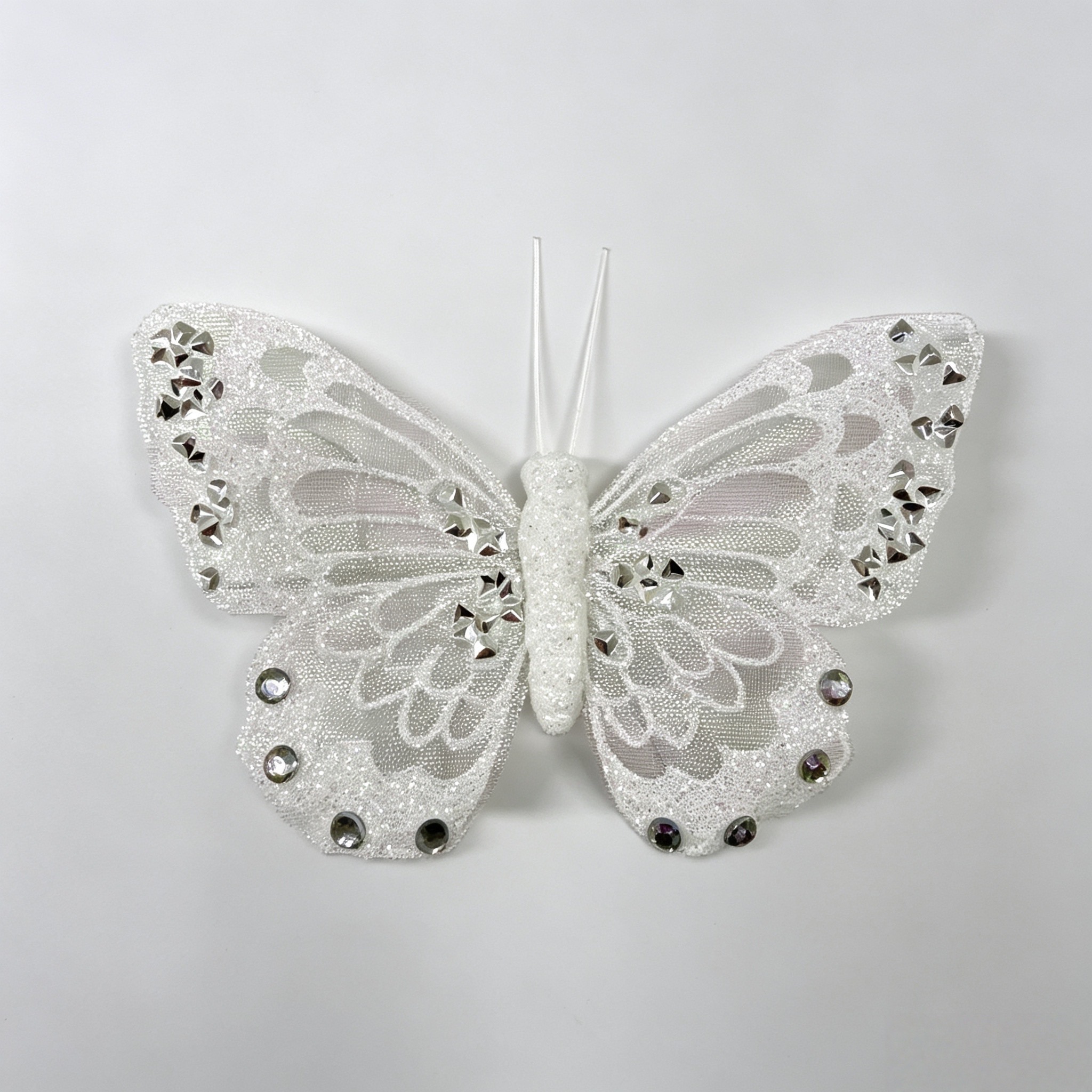 IMG_1647 26S0499 - 图片 1
