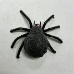 26T0478