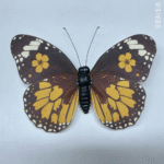 26T0628