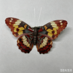 26T0686